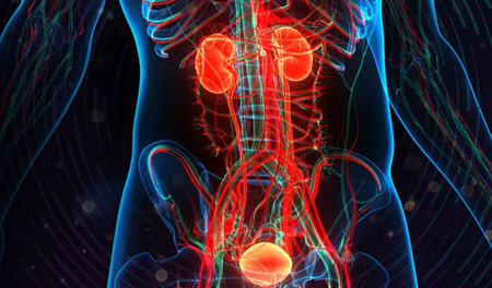 Genito-Urinary Cancers